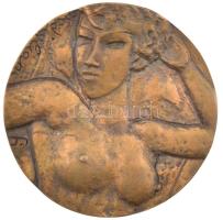 Farkas István Béla (1915-2005): DN "Modigliani" bronz emlékérem (85mm) T:1-