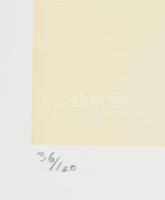 Andy Warhol (1928-1987): Cat. Ofszet litográfia, papír. Sorszámozott: 36/100, jelzett a nyomaton. Ge...