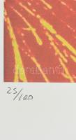 Andy Warhol (1928-1987): Flowers. Ofszet litográfia, papír. Sorszámozott: 25/100, jelzett a nyomaton...