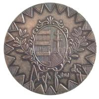 DN Magyar Honvédség Parancsnoka, Vezérkari Főnök ezüstözött bronz emlékérem (38mm) T:2 Hungary ND Commander of the Hungarian Armed Forces, Chief of Staff silver patinated bronze medallion (38mm) C:XF