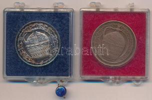 Csúcs Viktória (1934-1993) DN "Hódmezővásárhely Tanácsháza / Korsó" ezüstözött fém emlékér...