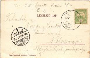 1905 Topánfalva, Topersdorf, Campeni; Schlessel és Walter-féle kastély, Szálloda. Csiky Testvérek ki...