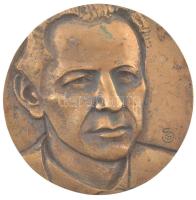 Győrfi Sándor (1951-) 1984. Váci Mihály Emlékbizottság - Születésének 60. évfordulójára - Nyíregyháza kétoldalas bronz plakett (80mm) T:1- kis patina