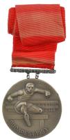 Gáll Gyula (1939-) 1983. Budapest 1983 / XIV. Fedettpályás Atlétikai Európa Bajnokság ezüstözött bronz díjérem szalagon, eredeti tokban (60mm) T:1-