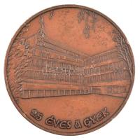 E. Lakatos Aranka (1952-) 2001. "25 éves a GYEK / Borsod-A.-Z. Megyei Kórház Gyermekegészségügy...