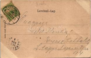 1902 Miskolc, Városház tér. Kardos József kiadása. Szecessziós címeres litho keret / Art Nouveau, li...