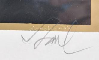 Szász Endre (1926-2003): Hintázó lány. Szitanyomat, papír, jelzett, számozott: 42/100, üvegezett fak...