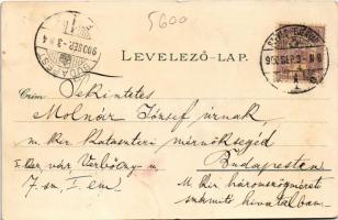 1900 Székesfehérvár, Vörösmarty szobor, Püspöki palota, Megyeház, Színház, Nádor utca. Klökner Péter...