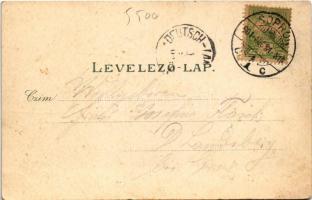 1901 Sopron, Városháza. Ludwig Kummert kiadása. Art Nouveau, litho (EK)