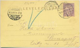 1900 Békéscsaba, Artézi kút, Izraelita templom, zsinagóga, Rudolf gimnázium, Római katolikus templom...