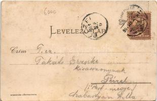 1901 Dombóvár, látkép, Főszolgabírói hivatal, Vasútállomás, Korona szálloda, katolikus templom. Art ...