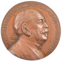 1929. Jandaurek Vince a Columbia Postagalamb Sporegyesülte elnöke bronz emlékérem Szign.:HE (72mm) T:1- kis patina