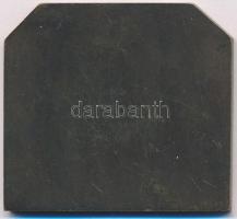 1922. "50 éves az Óbudai Tornaegylet" bronz plakett (49x45mm) T:1- patina