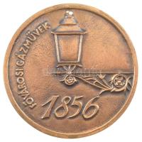 ~2006. Fővárosi Gázművek 1856 kétoldalas, öntött bronz emlékérem (89mm) T:1 tetején furat