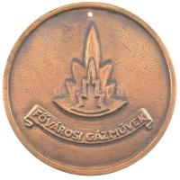 ~2006. "Fővárosi Gázművek 1856" kétoldalas, öntött bronz emlékérem (89mm) T:1 tetején fura...