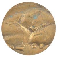 1974. "Nógrád Megyei Kereskedelmi Napok" kétoldalas, öntött bronz emlékérem (92mm) T:1- pa...