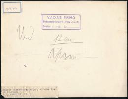 Vadas Ernő: A rajkó. Pecséttel jelzett vintage művészfotó 24x16 cm