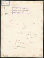 Vadas Ernő: Erdélyi táj. Pecséttel jelzett vintage művészfotó 24x16 cm