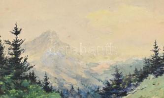 Oppel Imre (1883-1968): Bélapatak a Lomnitzi csúcsnál (Tátra). Akvarell, papír, jelzett, hátoldalán ...