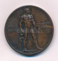 Berán Lajos (1882-1943) 1947. Mens sana in corpore sano (Ép testben ép lélek) bronz díjérem, hátoldalán VAOSZ-Bankliga atlétika 1947 II gravírozással (36mm) T:1- patina