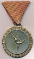 1957. XX. Ker. Ált. Isk. Bajnokság kétoldalas fém díjérem mellszalagon. Az érmen a Kossuth-címer található meg. (50mm) T:2