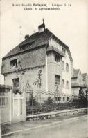 Budapest I. Araniczky villa