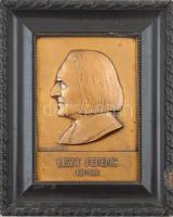 Edvi Illés György (1911-?) DN Liszt Ferenc 1811-1886 bronz emlékplakett (195x140mm), korának megfelelő állapotú, sérült fakeretben T:2 patina