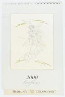 2000 Kass János falinaptár, borító kissé foltos, máskülönben jó állapotban. 53x35 cm