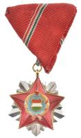 1966. Szocialista Hazáért Érdemrend zománcozott bronz kitüntetés mellszalaggal T:2 NMK 711.