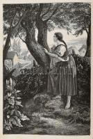 Petőfi Sándor összes költeményei. Hazai művészek rajzaival díszített képes kiadás. Bp., 1878.,. Mehn...