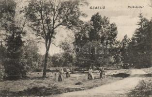 Gödöllő park