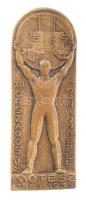 1935. MOTESZ (Magyarországi Testedző Egyesületek Szövetsége) 1885-1935 - XIII. Országos Tornaünnepély bronz jelvény Berán N. BPest Döbrentei u. 2 gyártói jelzéssel T:1