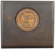 ~1930. A leglelkesebb bankatlétának feliratú bronz plakett (95x85mm) + beleillő Pénzintézeti Központ Tisztviselőinek Sportegyesülete bronz díjérem, ARKANZAS BP gyártói jelzéssel (40mm) T:2
