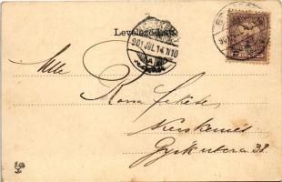 1901 Brassó, Kronstadt, Brasov; látkép. Szecessziós virágos litho keret / general view. Art Nouveau,...