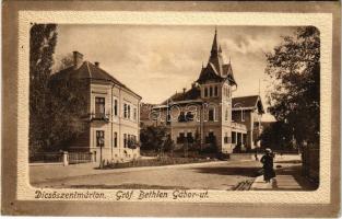 1914 Dicsőszentmárton, Tarnaveni, Diciosanmartin; Gróf Bethlen Gábor út. Spitz J. kiadása / street view