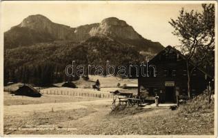1929 Oberburgau, Buchberghütte zur Eisenaueralpe am Schafberg / chalet, tourist house (EK)