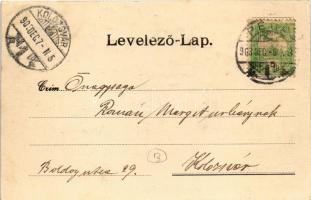 1903 Pécs, Villasor, vasútállomás, villák. Blancz József kiadása