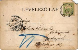 1904 Kolozsvár, Cluj; Vegytani intézet. Rigó Árpád kiadása. Szecessziós dombornyomott keret / Instit...