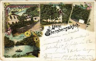 1899 (Vorläufer) Sternberk, Sternberg (Ledce); Lázne, Zámek, Restaurace, Rybník / spa, bath, restaurant, castle, lake. Art Nouveau, floral, litho (Rb)