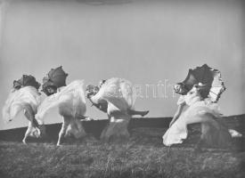 cca 1930 Balerinák, táncosok Szendrő István fotóművész pecséttel jelzett fotója 24x16 cm