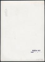 cca 1940 Páva Szendrő István fotóművész pecséttel jelzett fotója 24x16 cm