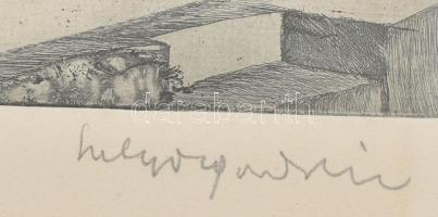 Sulyok Gabriella (1939-): Sopron, Ponzichter-ház. Rézkarc, papír, jelzett, számozott: 74/100, üvegez...