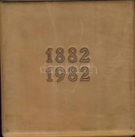 1982. "Kodály Zoltán" extrém nagyalakú Br plakett, szignált T:1 Eredeti díszdobozban!