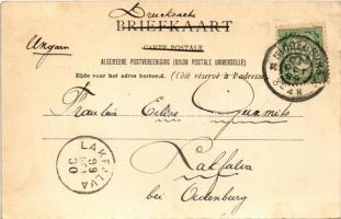 1899 (Vorläufer) Zeeuwsche boerinnetjes / Dutch folklore, peasant women from Zeeland (EK)