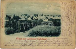 1900 Kópháza, Kohlenhof, Kolnhof (Sopron); látkép, út. Carl Schwarz kiadása (EK)