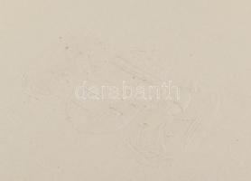 cca 1910 Angyalos magyar középcímerrel dombornyomott mappa kitüntetés adományozóhoz 19x41 cm Szép ál...