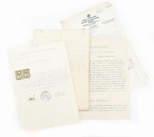 1939 Szucsány és más felvidéki településeken kiállított okmányok. bélyegekkel, fordítással, 10 db