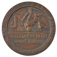~1980. Országos Vasutas Sport Központ egyoldalas bronz emlékérem (130mm) T:2