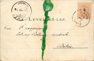 1898 (Vorläufer) Vihnye, Vihnyefürdő, Kúpele Vyhne; látkép, fürdőház, nyaraló. Joerges kiadása / gen...