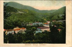 Vihnye, Vihnyefürdő, Kúpele Vyhne; látkép / general view, spa (fl)